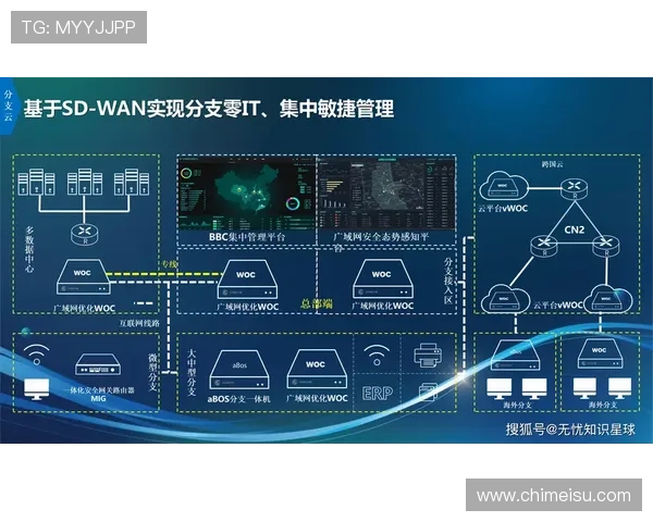 开云集团在数字化转型方面的创新举措及其对品牌价值的提升